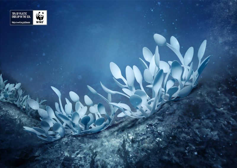 bbdo fan corals bbdo fan corals